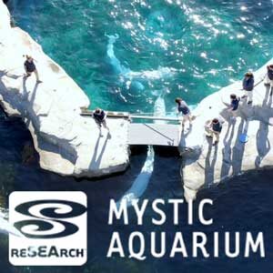 Mystic Aquarium